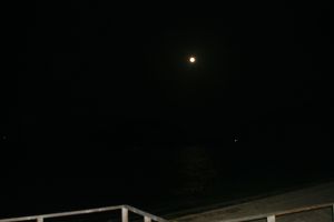 Moon at Nighttime
